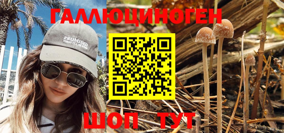 Псилоцибиновые грибы мухоморы Заволжье