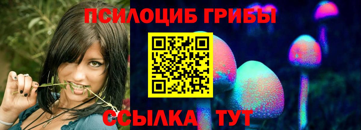 Галлюциногенные грибы MAGIC MUSHROOMS  Вход с VPN  Заволжье  Псилоцибиновые грибы мухоморы 