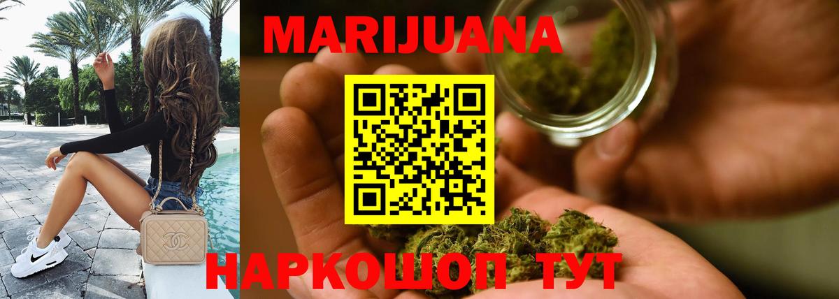Конопля планчик Заволжье